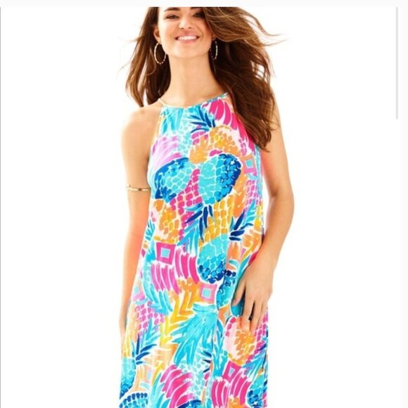 Lilly Pulitzer Goombay Smash Margot Swing Dress - Picture 1 of 16